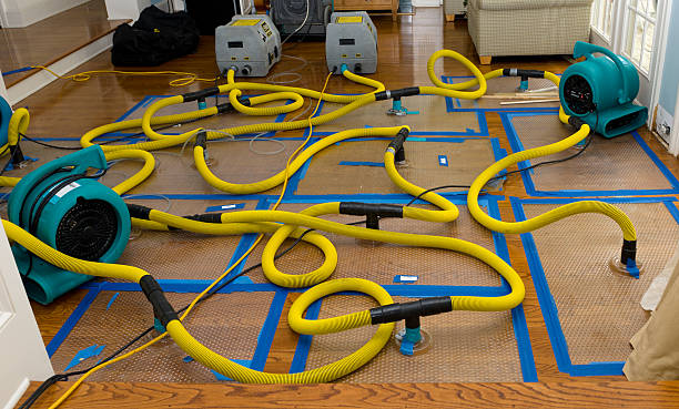 Professional Structural Drying And Dehumidification technician working in Hubbard, TX
