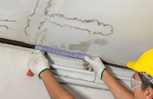 Affordable Water Damage Repair solutions in Hubbard, TX
